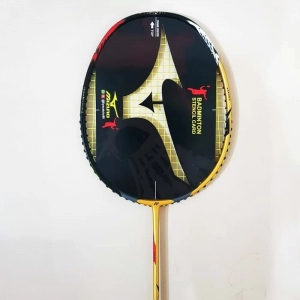 Logo sơn vợt cầu lông Mizuno