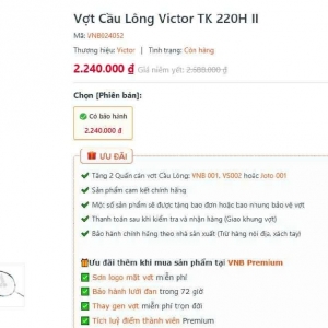 Vợt cầu lông Victor TK 220H II chính hãng