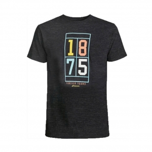 Áo tennis Babolat Exercise Vintage Tee Men chính hãng (234432003) - Size: L