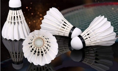 Quả cầu lông có bao nhiêu cánh? Quả cầu lông tiêu chuẩn thi đấu là như thế nào?