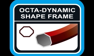 OCTA-DYNAMIC SHAPE FRAME