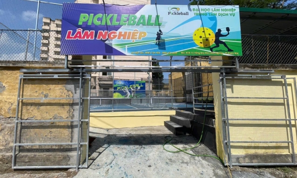 Review sân Pickleball Lâm Nghiệp chất lượng tại huyện Chương Mỹ, Hà Nội