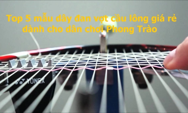 Top 5 mẫu dây đan vợt cầu lông giá rẻ dành cho dân chơi Phong Trào