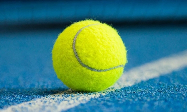 Giá banh tennis và các thông tin thú vị về banh tennis bổ ích