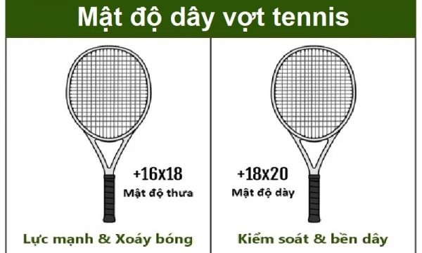 Tìm hiểu về mật độ dây vợt tennis hiện nay