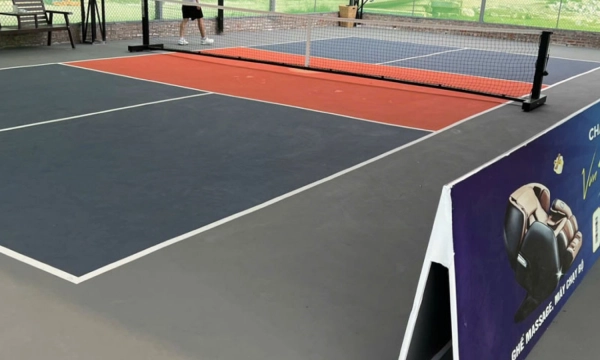 Tổng hợp những màu sân pickleball đẹp và phổ biến nhất hiện nay