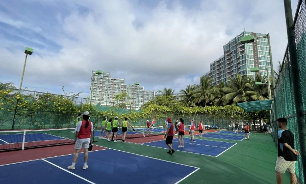 Khám phá sân pickleball FLC Sầm Sơn không gian thể thao trong khu nghỉ dưỡng