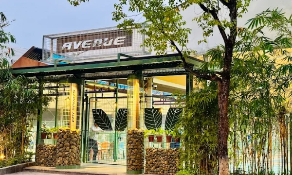 Review sân pickleball Avenue – Cụm sân pickleball cao cấp nhất Nam Từ Liêm, Hà Nội