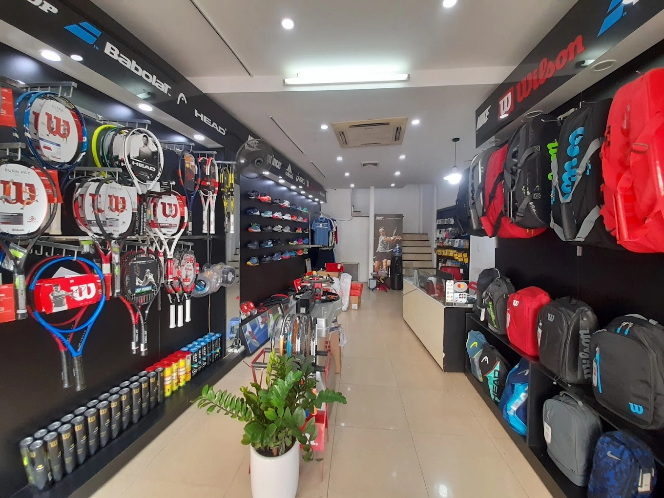 Giày Tennis Hà Nội