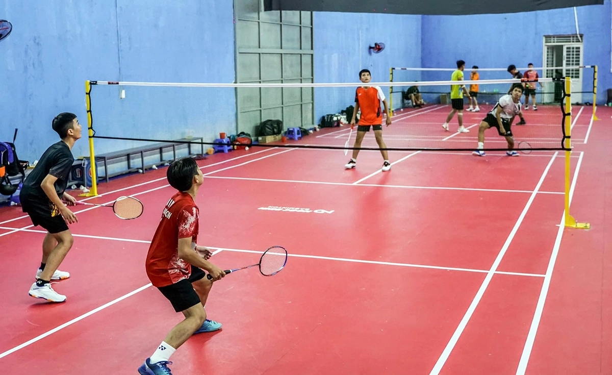 mọi người thích chơi sân cầu đạt tiêu chuẩn