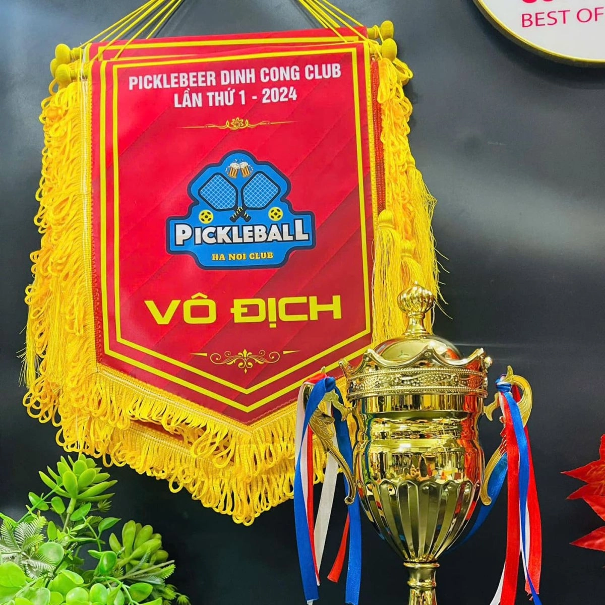 Cờ lưu niệm pickleball