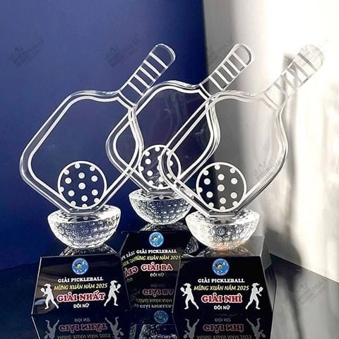 Cup pickleball pha lê đẹp
