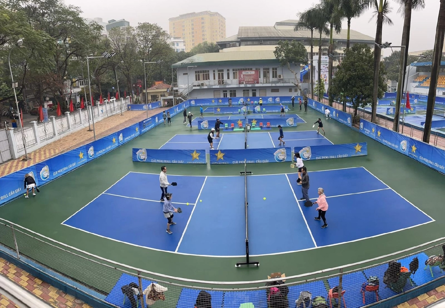 kinh doanh sân pickleball