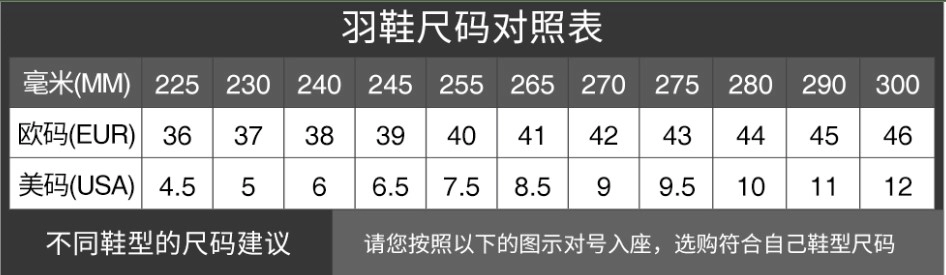 Bảng size giày cầu lông VS