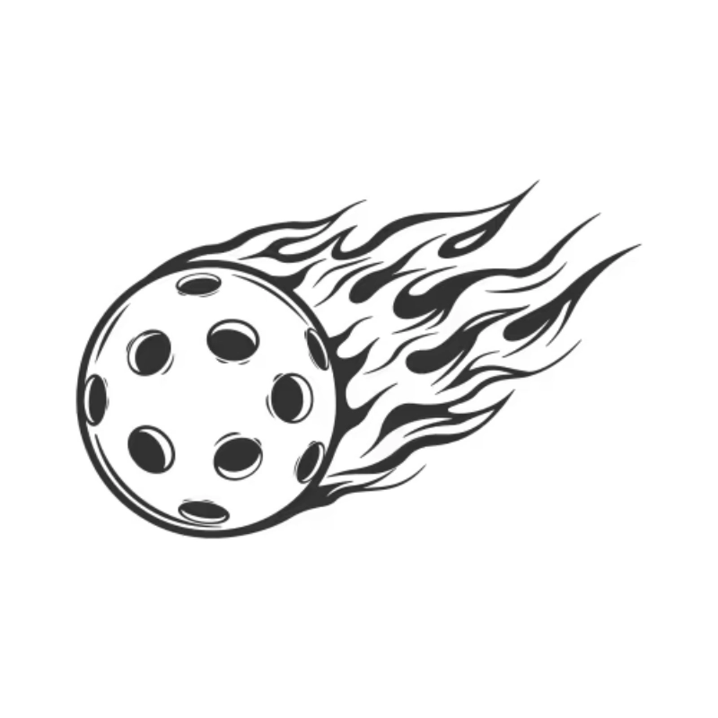 icon quả bóng pickleball