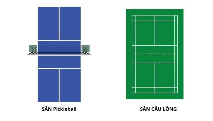 sự khác biệt giữa sân pickleball và cầu lông
