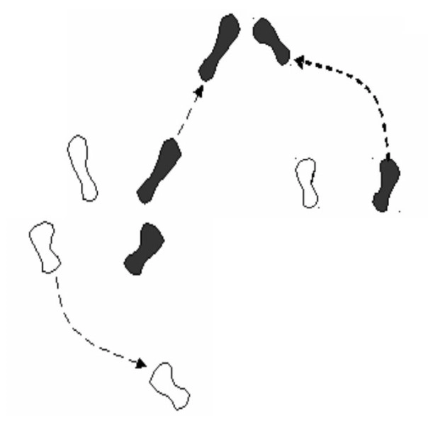 Di chuyển ở tư thế lùi sau đánh cầu phải