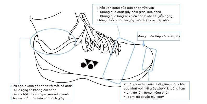 lựa chọn giày cầu lông Yonex