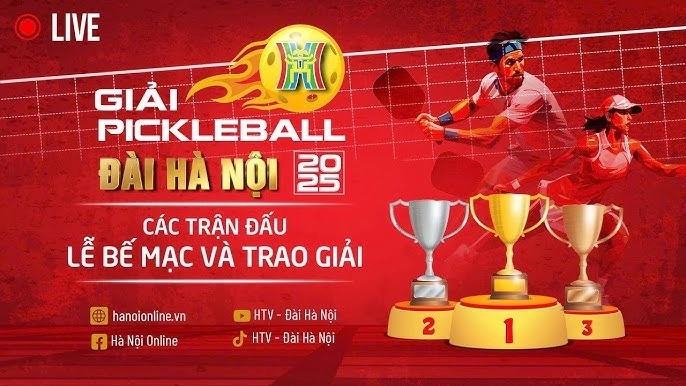 maket pickleball cho thi đấu
