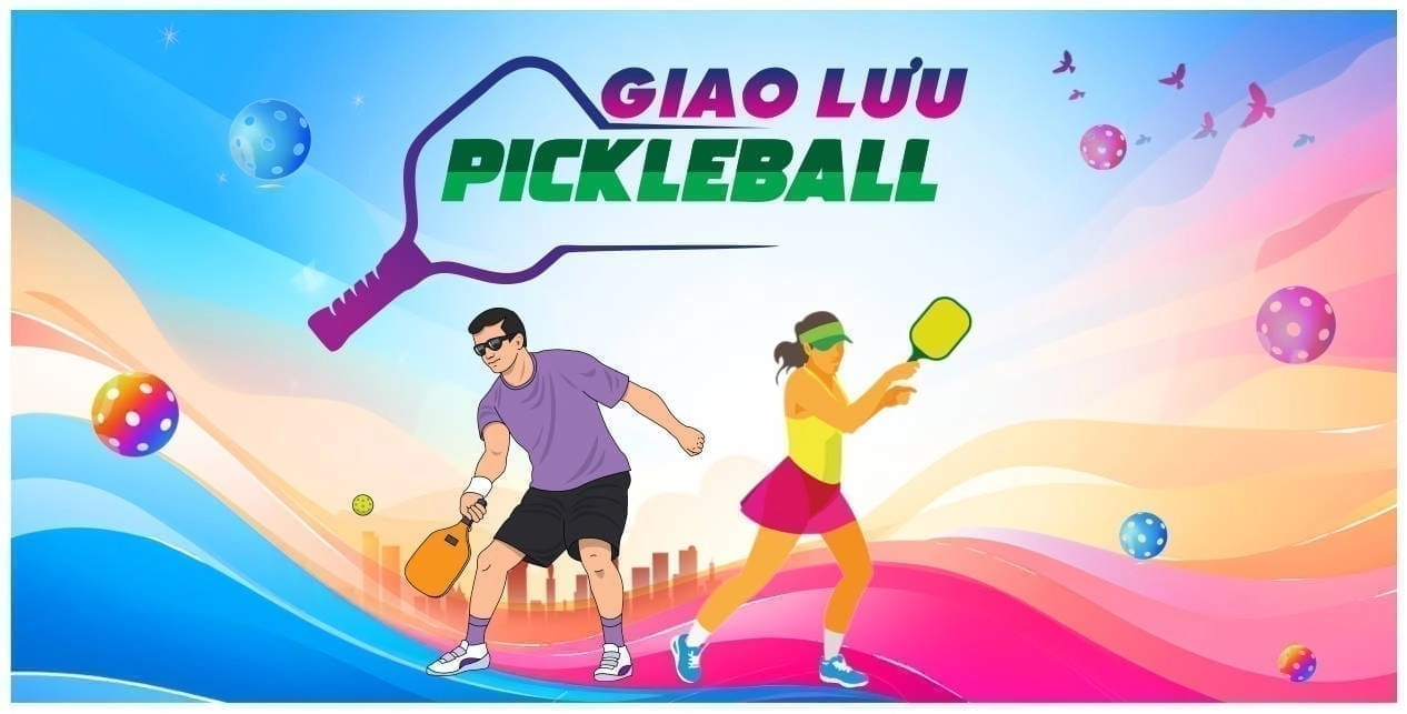 maket pickleball cho thi đấu
