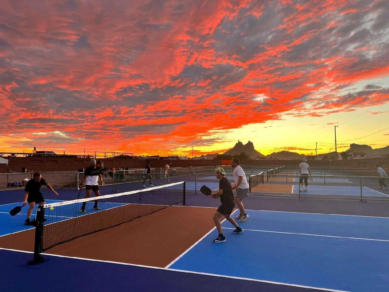 pickleball dành cho PC