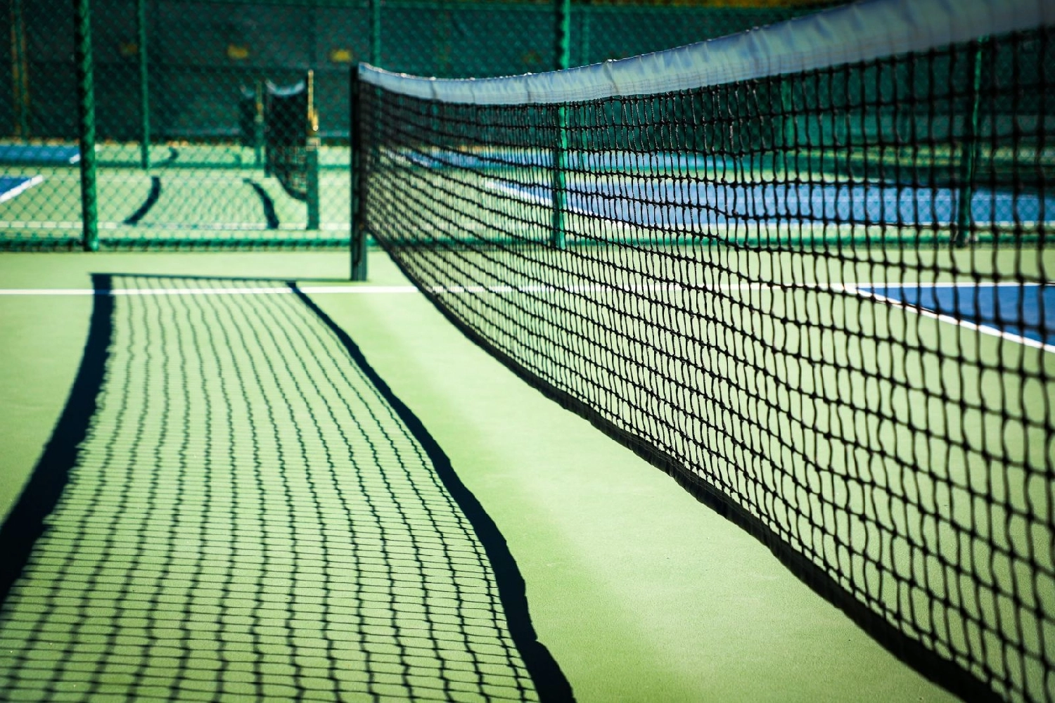 Hình ảnh sân chơi pickleball