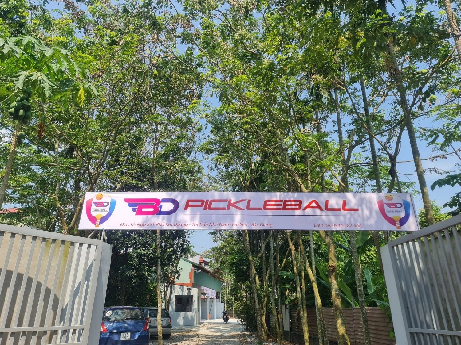 Sân BD Pickleball