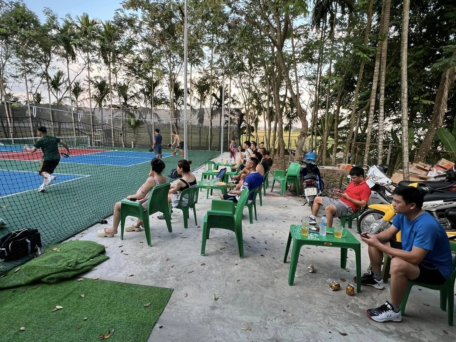 Giới thiệu sân Pickleball BD Pickleball