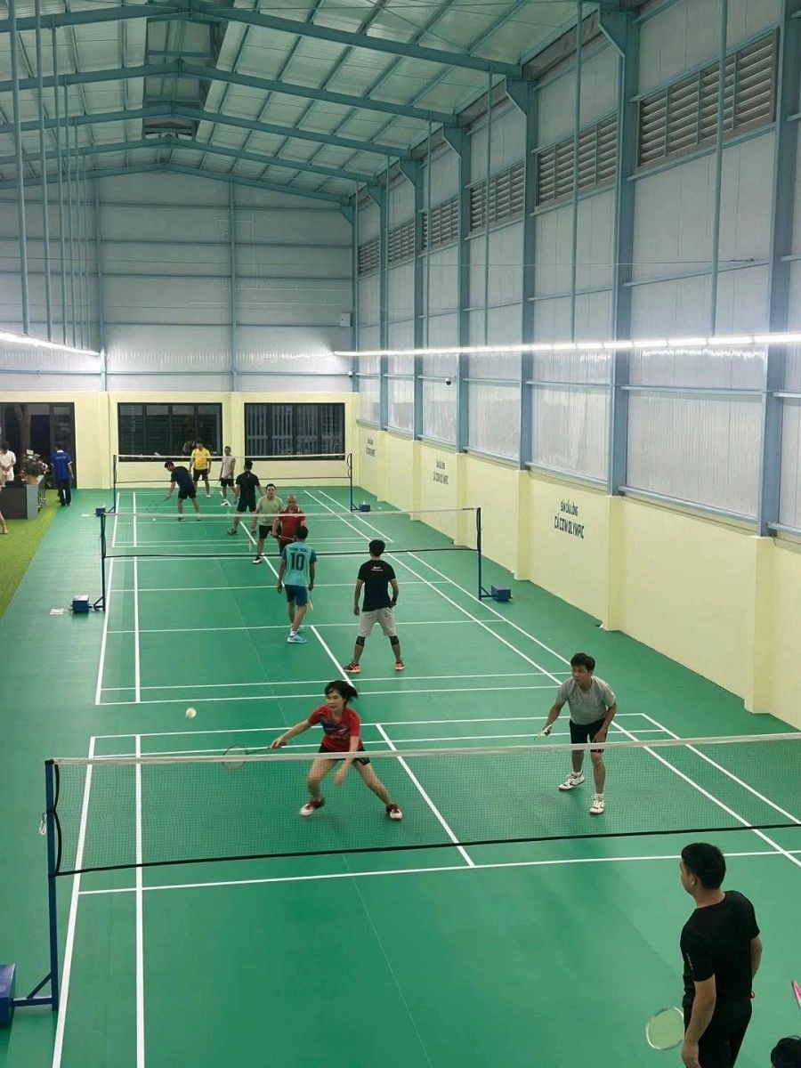 Cập nhật chi phí giá thuê sân cầu lông cá cơm