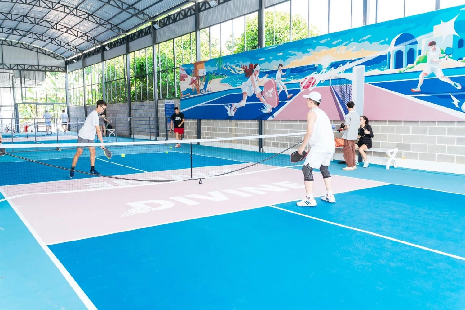 Giới thiệu sân Divine Pickleball