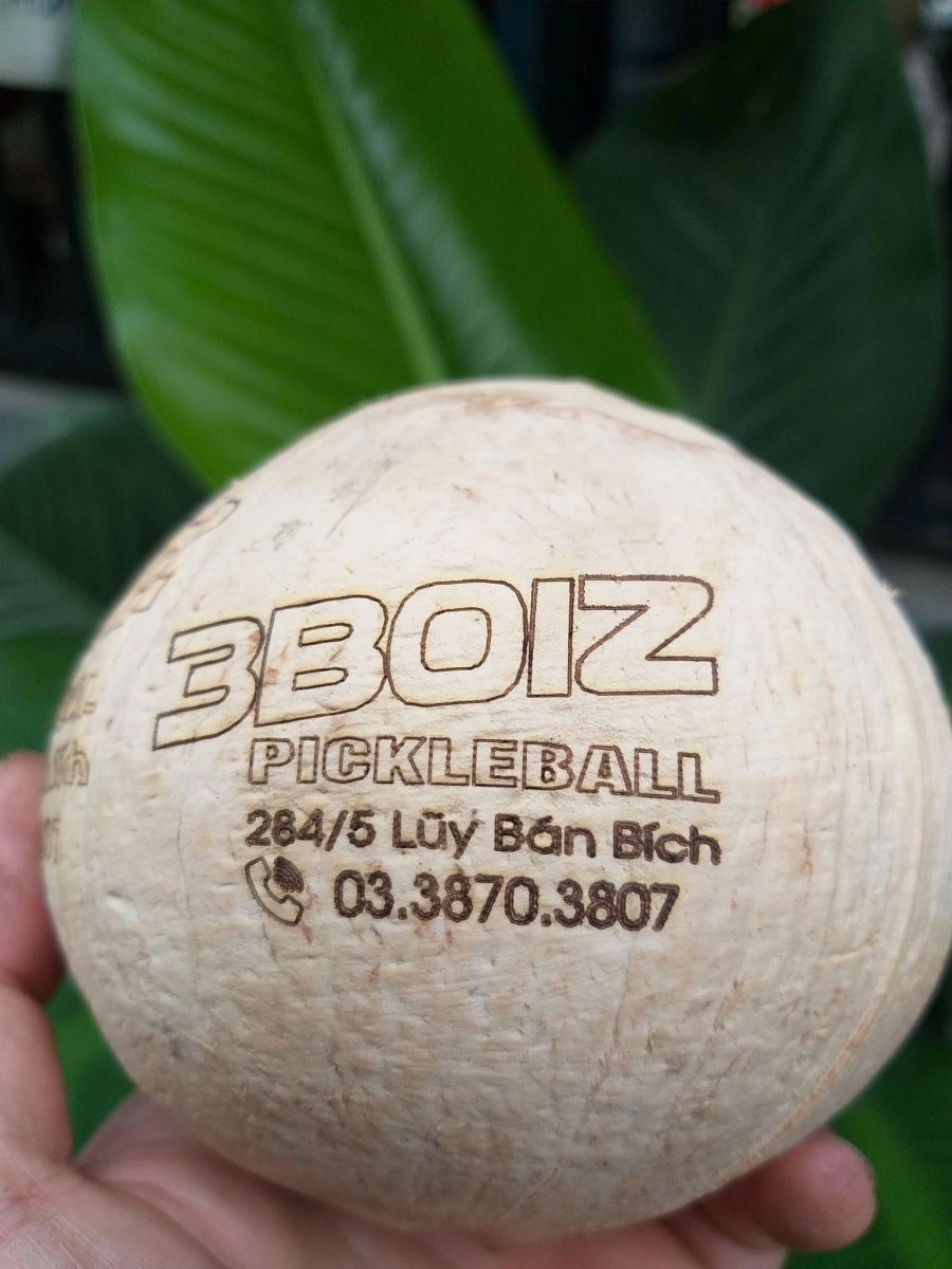 Sân Pickleball 3BOIZ