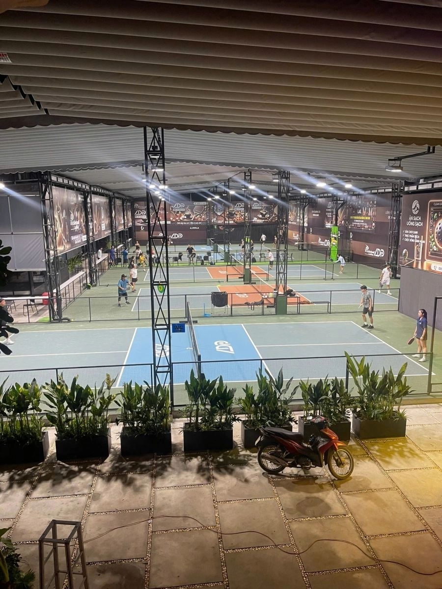 Sân pickleball ADP Tân Bình trang trí nhiều cây xanh