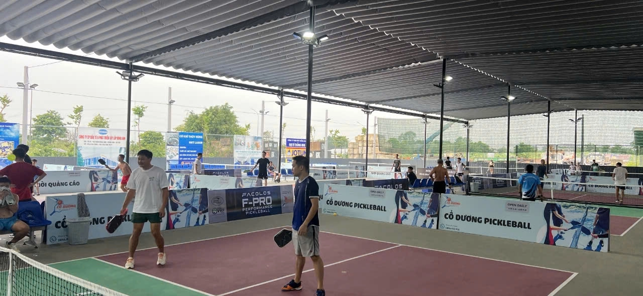 Giá thuê sân Pickleball Cổ Dương