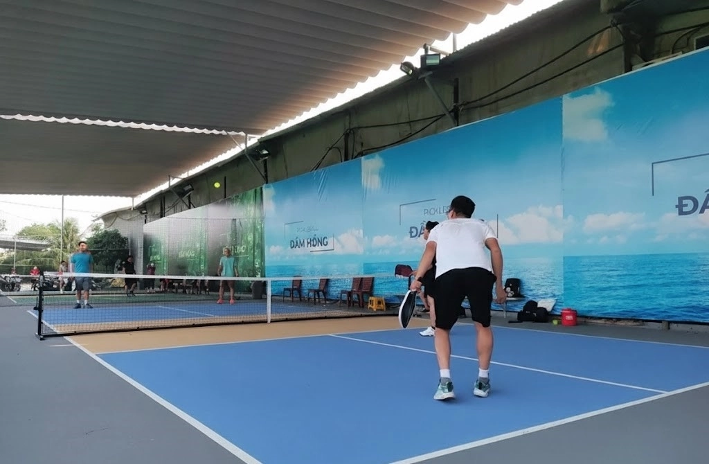 Giới thiệu tổng quan về sân Pickleball 