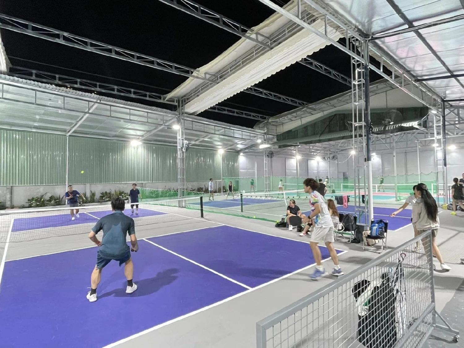 Giới thiệu sân Pickleball Đào Trí