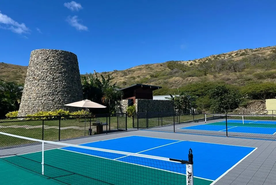 Những mẫu sân Pickleball đẹp nhất thế giới 5