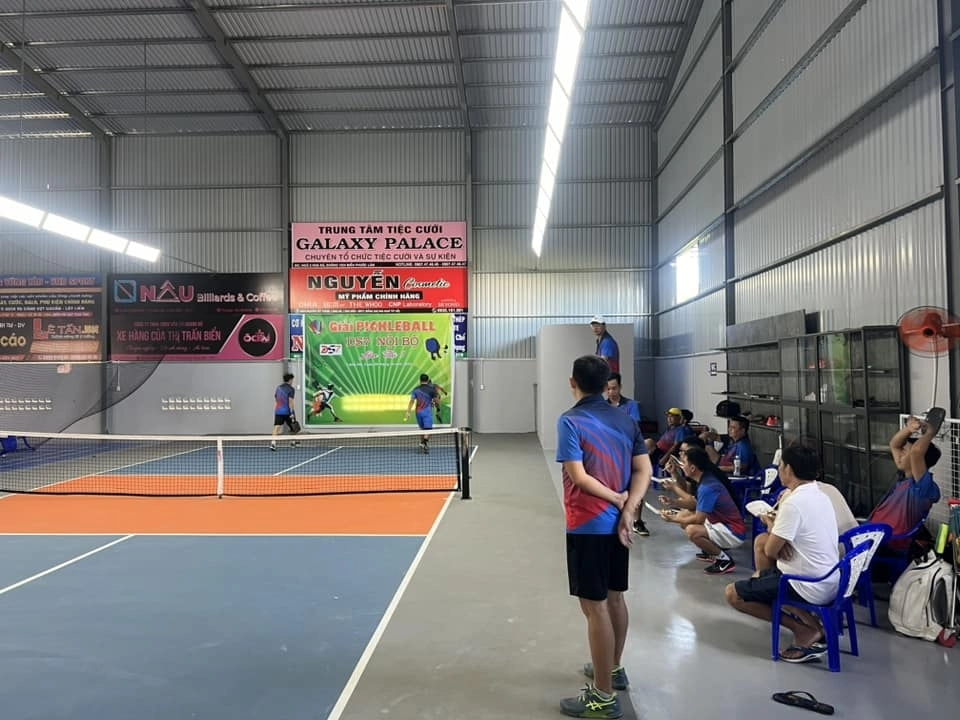 Giới thiệu sân Pickleball DS7