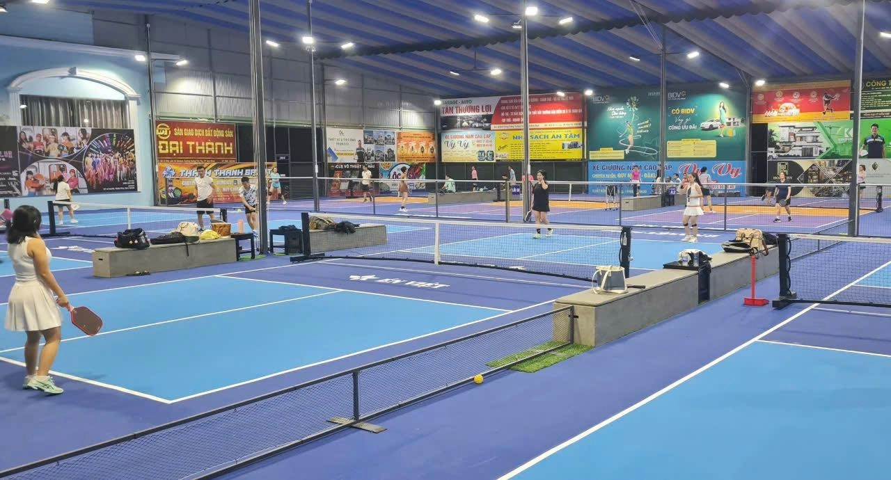 Sân Pickleball Én Việt Quy Nhơn