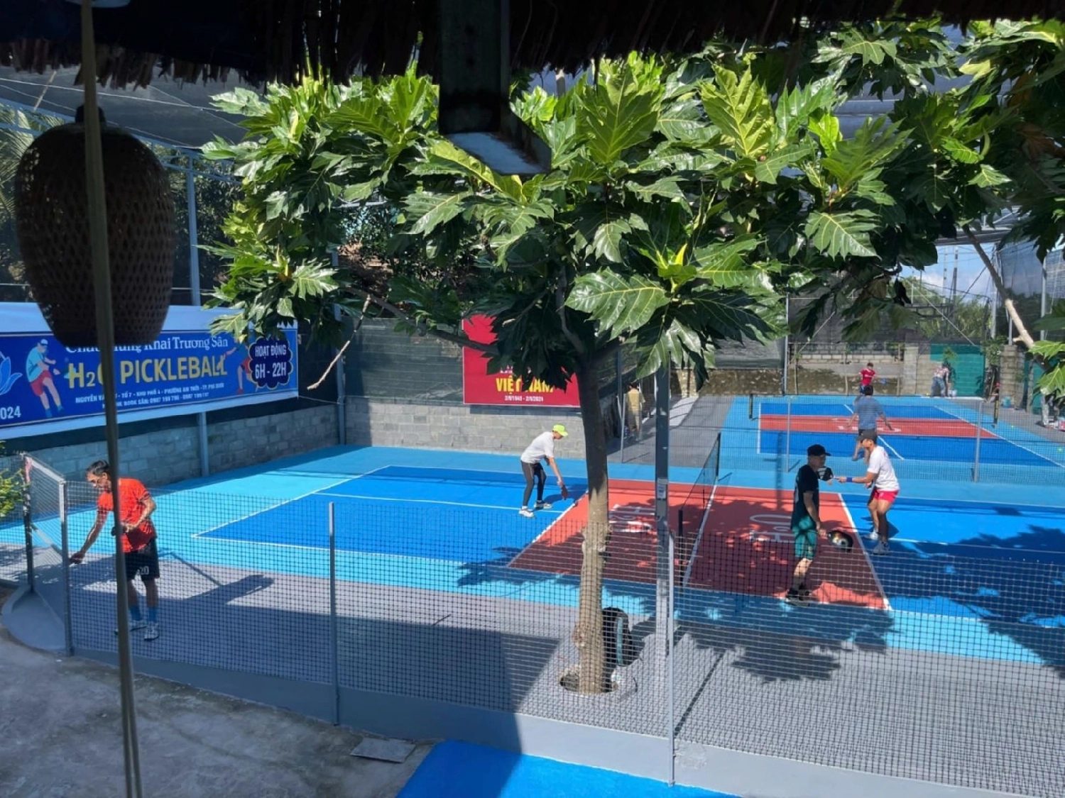 Giới thiệu sân Pickleball H2O