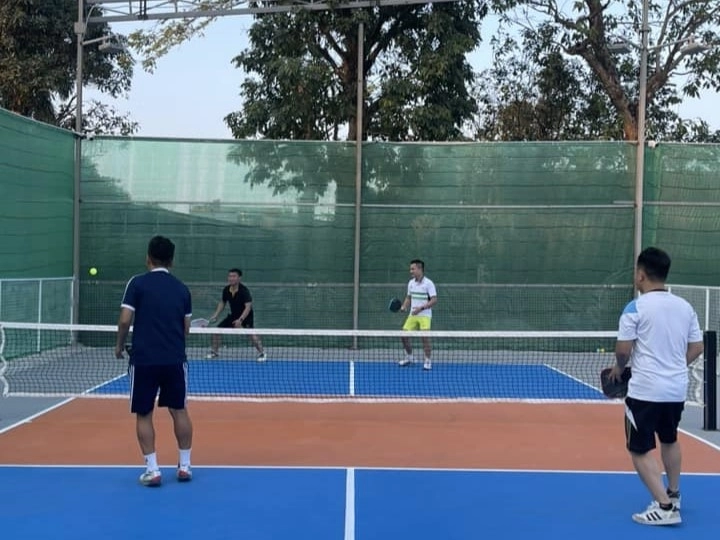 Sân Pickleball Hải Bối