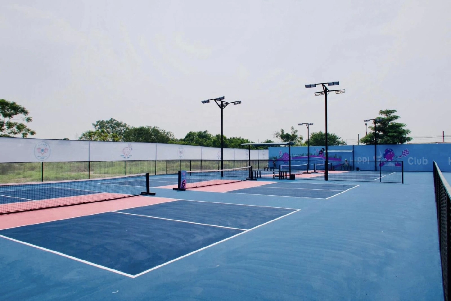 Giới thiệu sân Pickleball Hippi