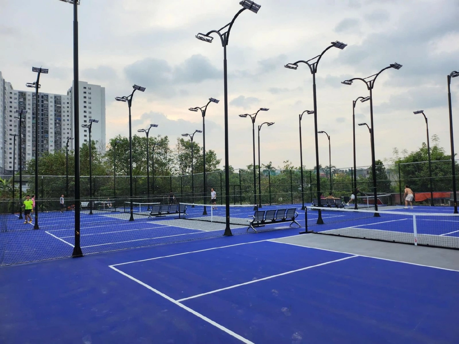 Giới thiệu sân Pickleball Hồ Định Công