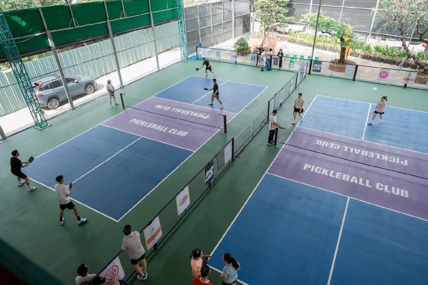 Giới thiệu sân Pickleball Kim Anh