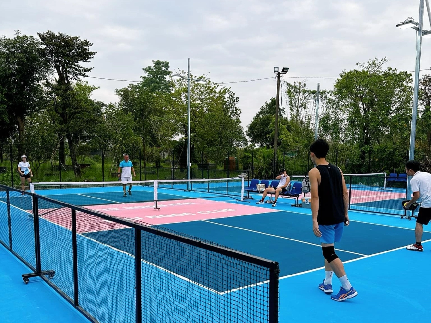 Sân Pickleball Mai Ngọc