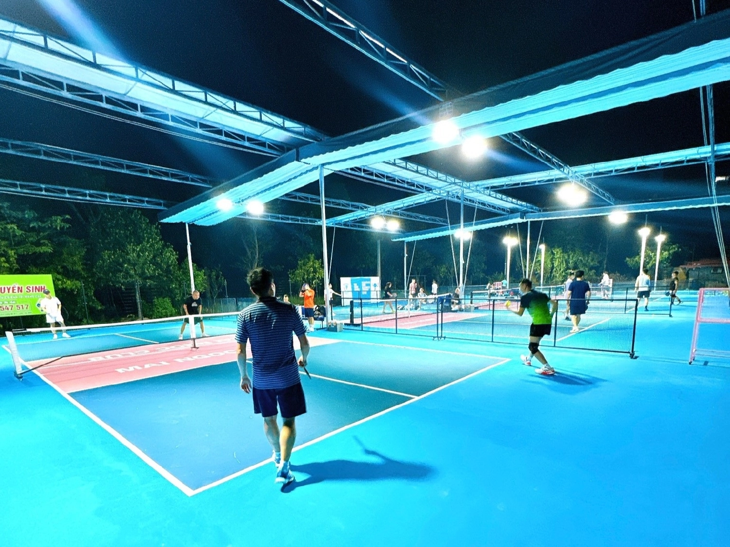 Giới thiệu sân Pickleball Mai Ngọc