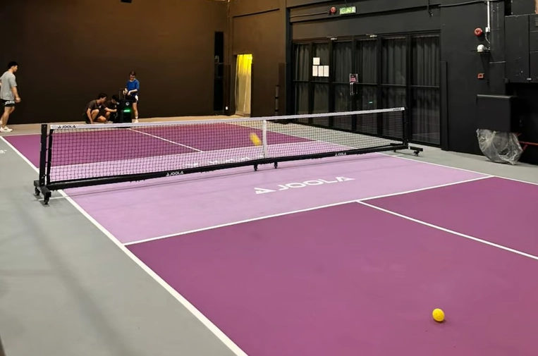 Một số mẫu sân pickleball màu hồng nổi bật 4