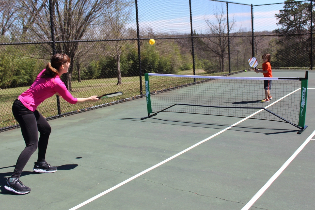pickleball mini court