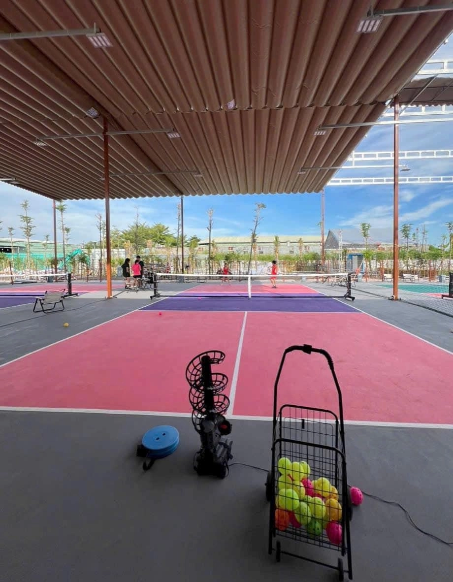 Giới thiệu sân Pickleball Pickle Farm