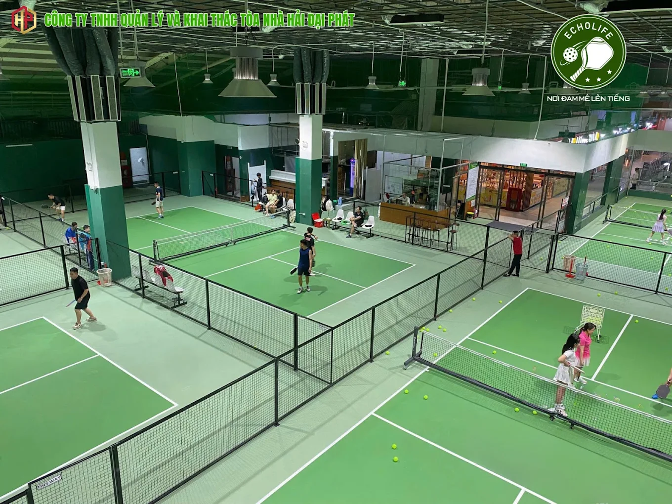 Sân Pickleball Echolife