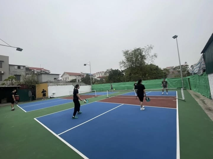 Cụm sân Pickleball Sóc Sơn